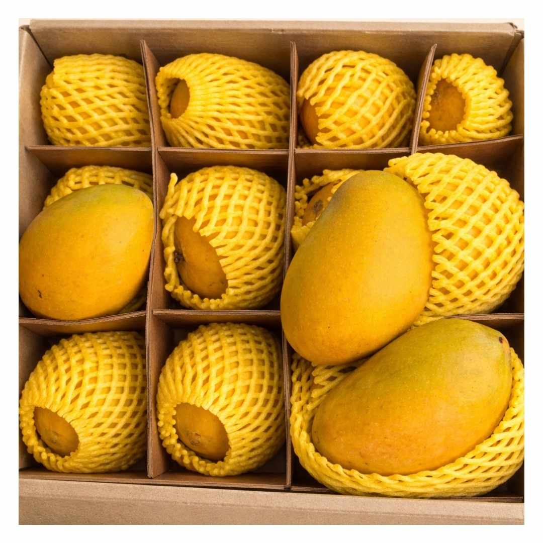 Premium Alphonso Mangoes - Devgad & Ratnagiri (Air-Flown) | 1 dozen - Image 2