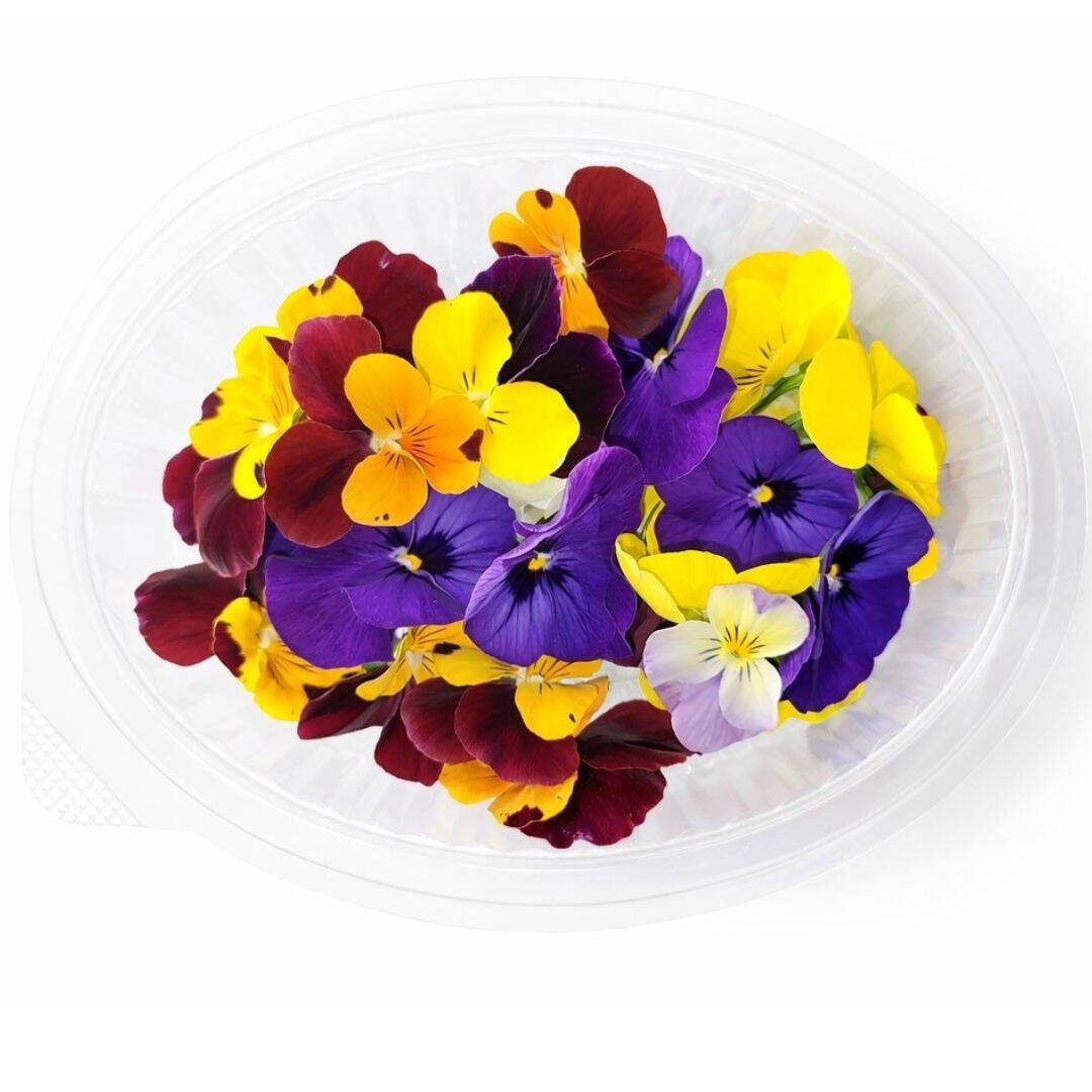 Edible Flowers Viola Mix