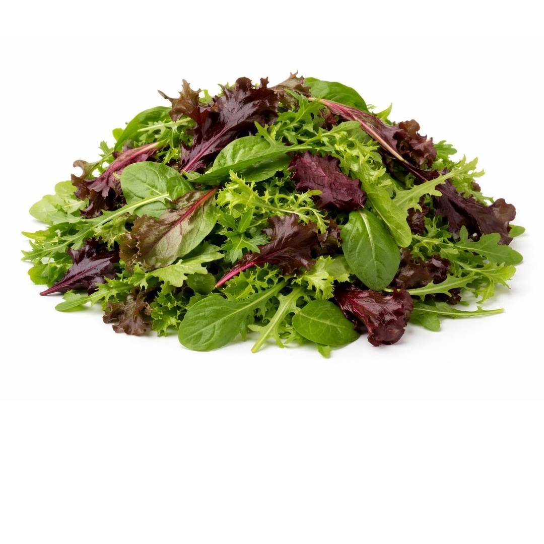 Mesclun Mix Salad (125g) – UAE Farm Fresh Produce