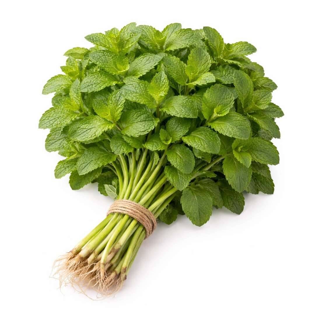 Mint Leaves (Pudina) – UAE Farm Fresh