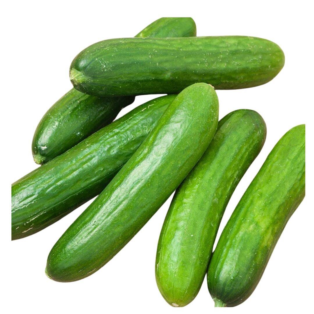 Cucumber (1kg) – UAE Farm Fresh Produce