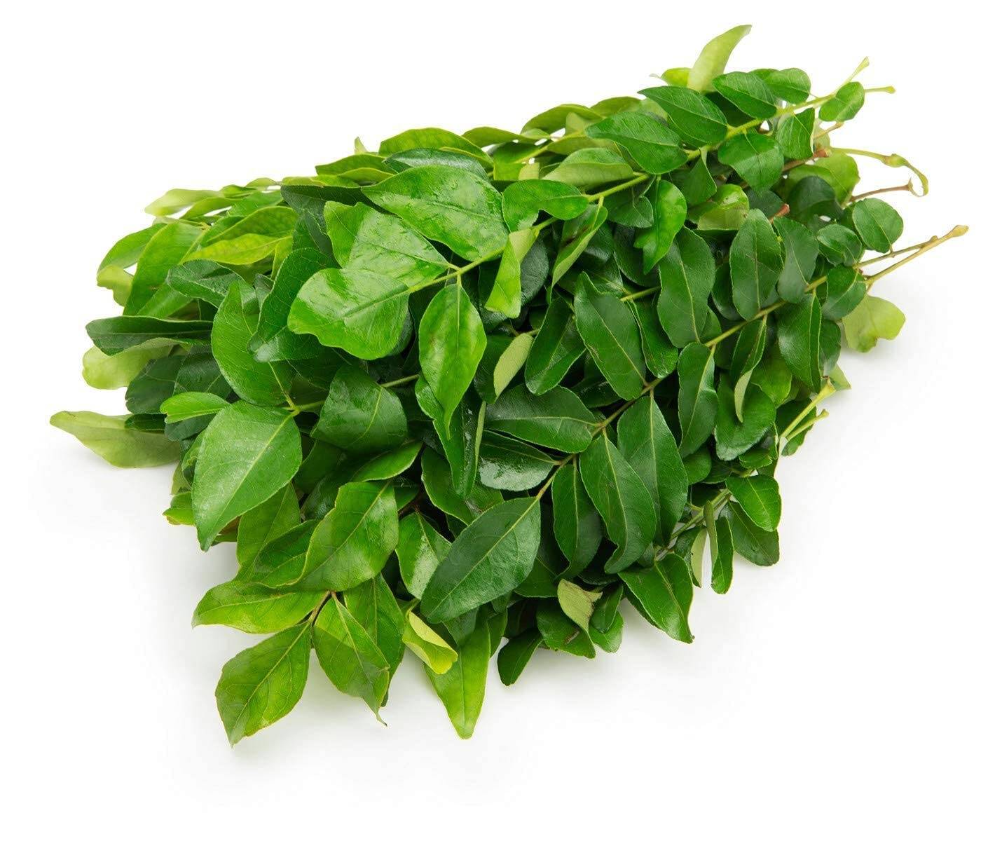 Curry Leaves (1Bunch)